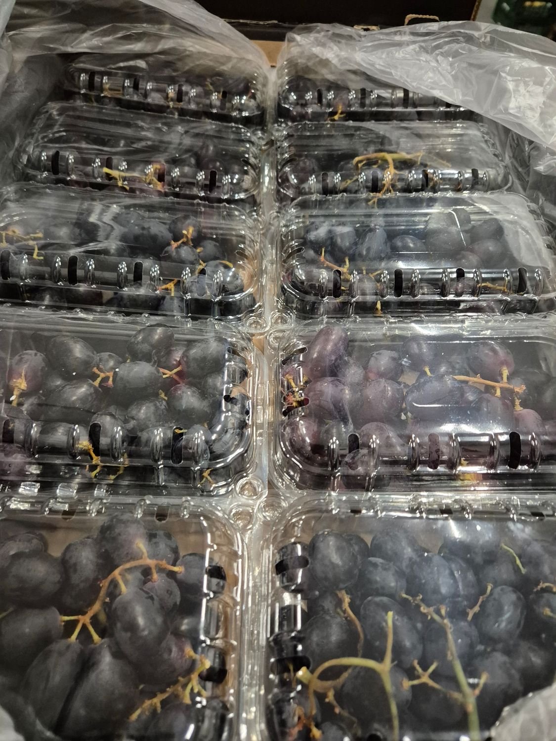 5672141001.jpg Trauben Rot Schale 10x500gr - Image 1