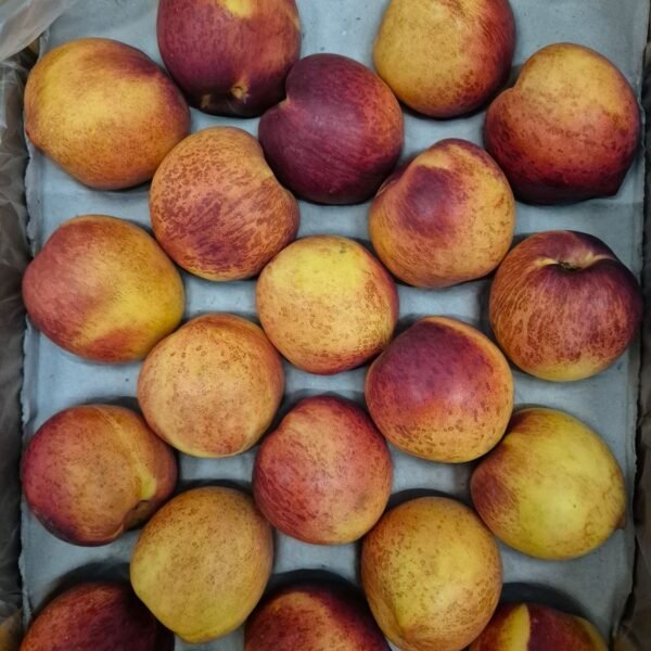 Nektarinen (IT) Krt. 5Kg