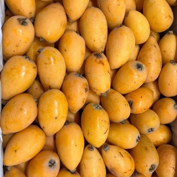 Mispel Ca.G Ruchey 9Kg