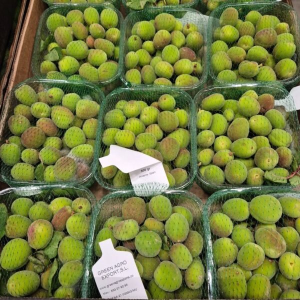 Frische Aprikosen(Cagla) 12x250g