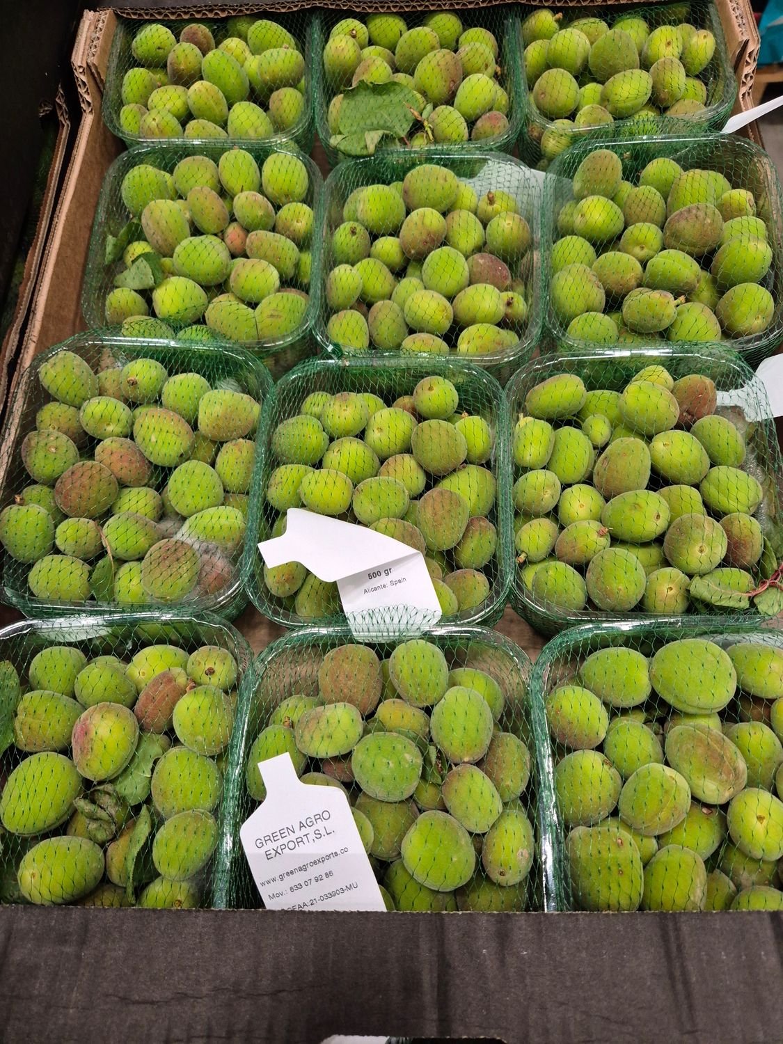 5687004035.jpg Frische Aprikosen(Cagla) 12x250g - Image 1